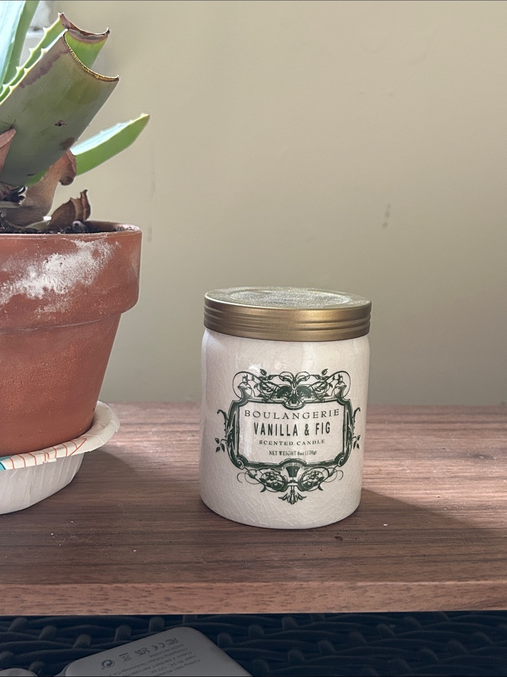 Anthropologie Vanilla & Fig Scented Candle - White and Gold